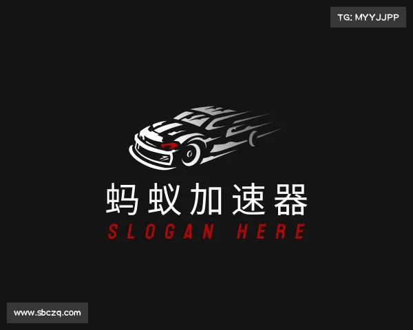 关于蚂蚁加速器